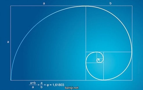Секреты торговли по уровням Фибоначчи, зарабатывае_0.jpg
